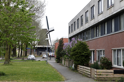 914224 Gezicht op het plantsoen langs de Timorkade te Utrecht, met op de achtergrond de molen De Ster (Molenpark 3).
